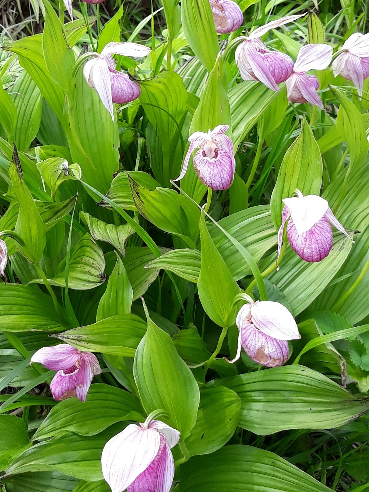 20180606_104323.jpg?type=w1600