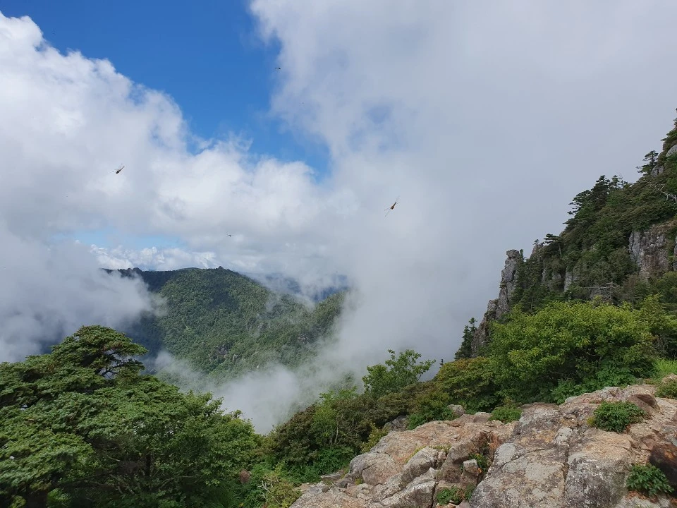 1564666387638.jpg?type=w1600