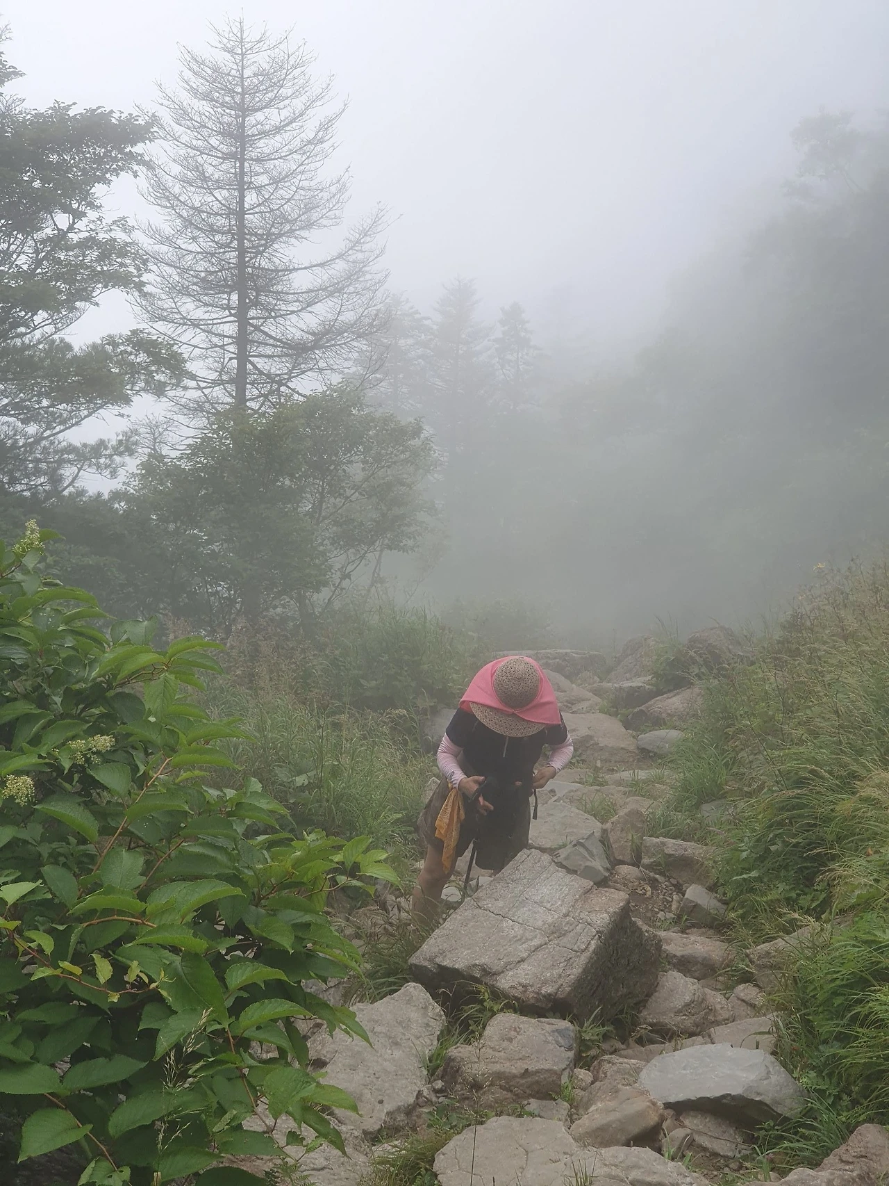 1623931364222-1.jpg?type=w1600