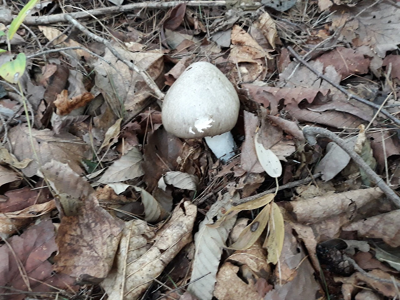 20190825_110006.jpg?type=w1600