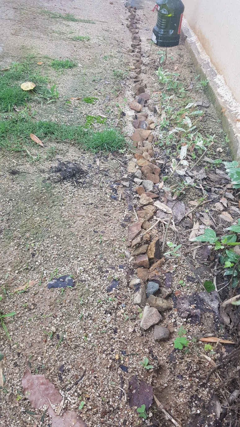 20230530_110709.jpg?type=w773