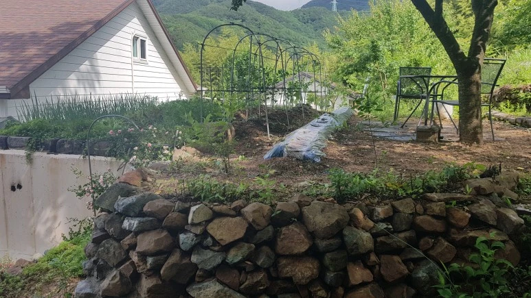 20230530_092116.jpg?type=w773