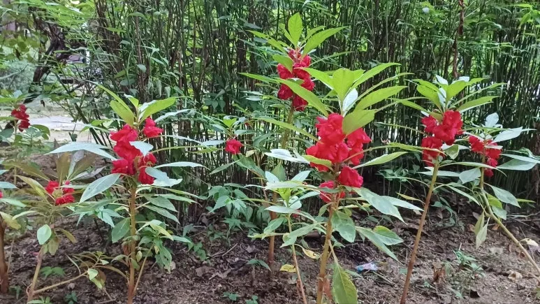 KakaoTalk_20230804_231038424.jpg?type=w773