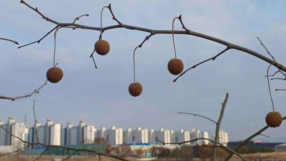 KakaoTalk_20250121_083248593_09.jpg?type=w1