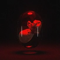 6450289.jpg?type=r204Fll&amp;v=20220106080520