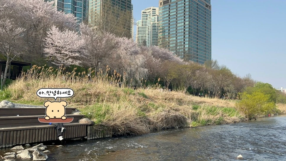 SE-6146fc44-b954-4e80-b25c-c60e6ec14e8f.jpg?type=w966