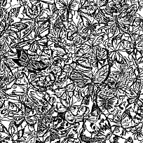 3247721.jpg?type=r204Fll&amp;v=20220323110406