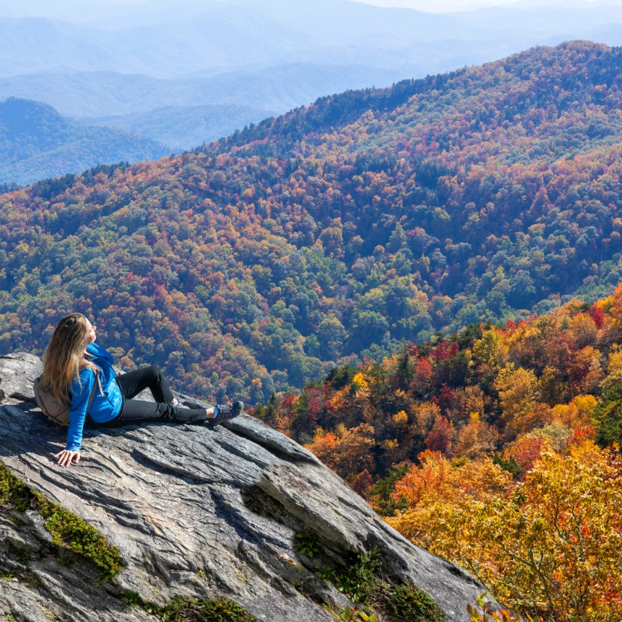 1%EF%BC%BF20241019%EF%BC%BF100018%EF%BC%BF0000.png?type=w966