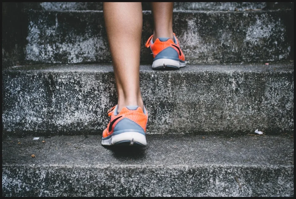 SE-7ee7c15d-affd-415d-a2dd-d3f69ba814f1.jpg?type=w966