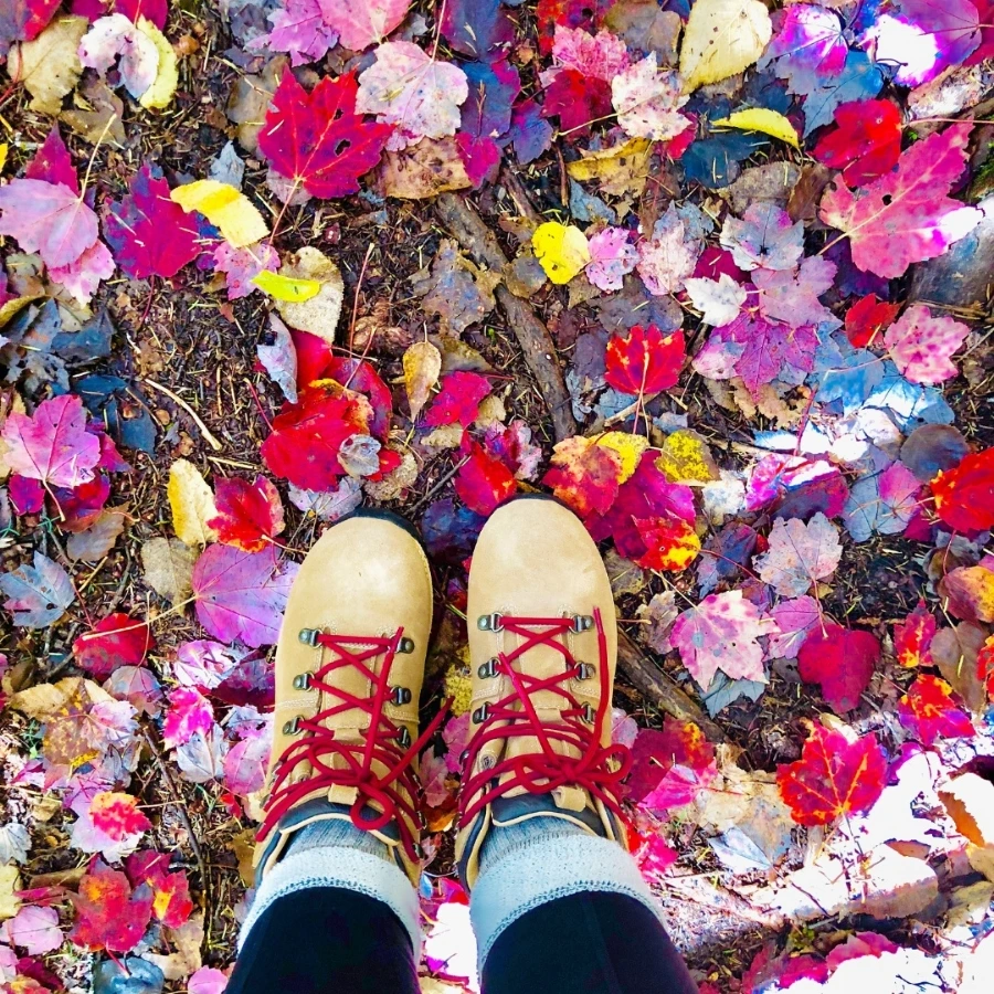 1729299656263%EF%BC%8D2.jpg?type=w966