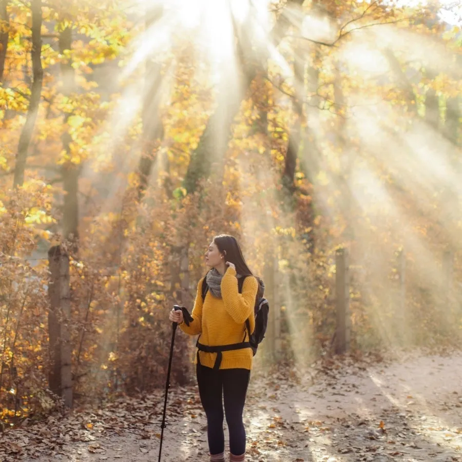 1729299656263%EF%BC%8D1.jpg?type=w966