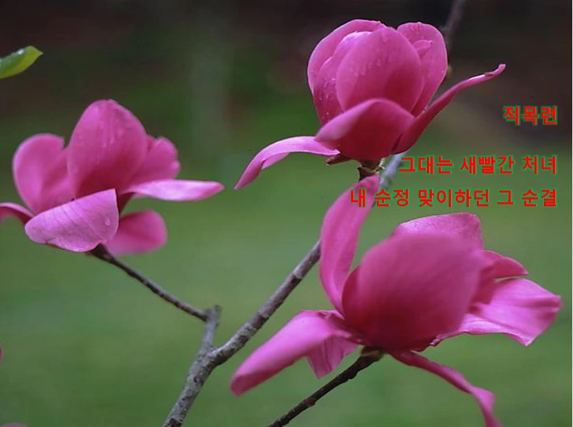 43caf5c9c58a5f4a629cf518f4b9cf7d113fff08