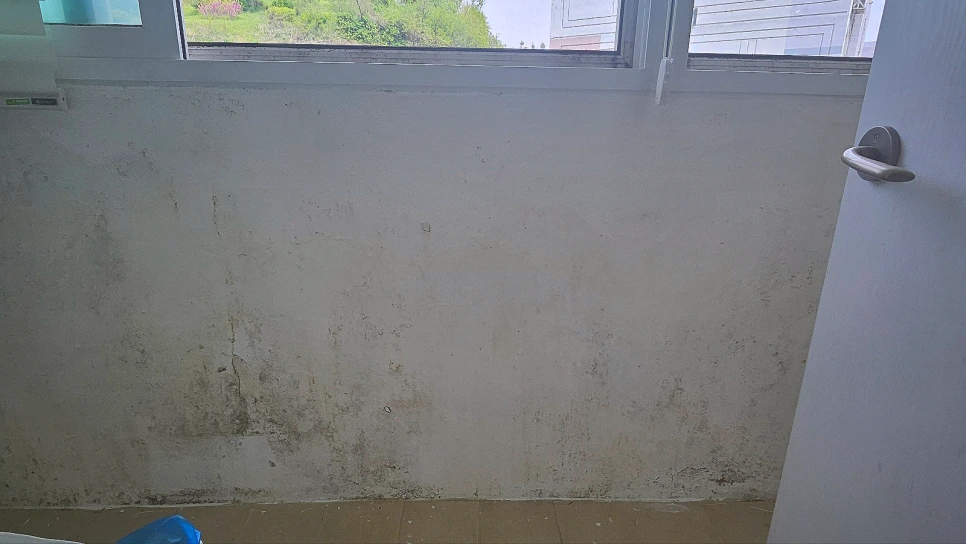 SE-5911c508-52fc-4659-b4f8-acfd35f06a48.png?type=w966