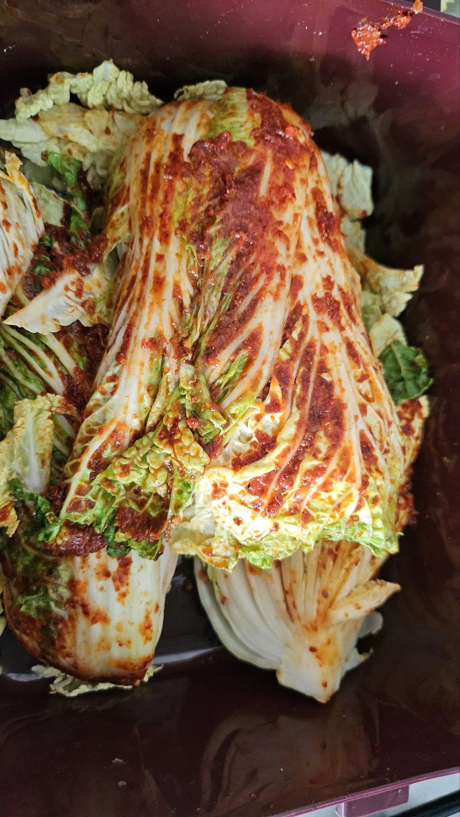 KakaoTalk_Photo_2024-06-06-15-05-57 003.jpeg