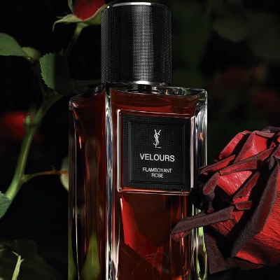 3614274184990_3.jpg?type=w1600