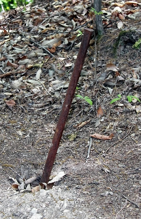 다운로드 (6).jpeg