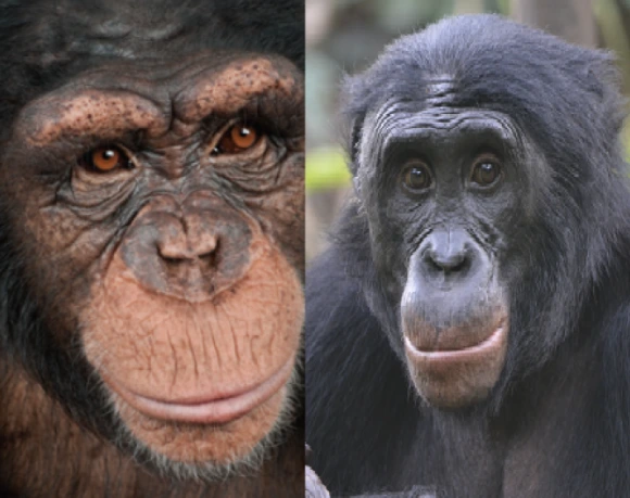 %EC%8A%A4%ED%81%AC%EB%A6%B0%EC%83%B7_2023-10-10_%EC%98%A4%ED%9B%84_12.25.40.png?type=w580