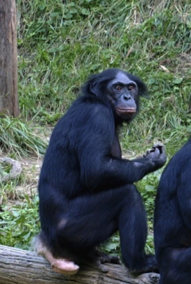 %EC%8A%A4%ED%81%AC%EB%A6%B0%EC%83%B7_2023-10-10_%EC%98%A4%ED%9B%84_12.34.58.png?type=w275