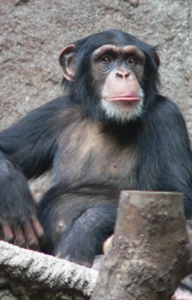 %EC%8A%A4%ED%81%AC%EB%A6%B0%EC%83%B7_2023-10-10_%EC%98%A4%ED%9B%84_12.40.07.png?type=w275