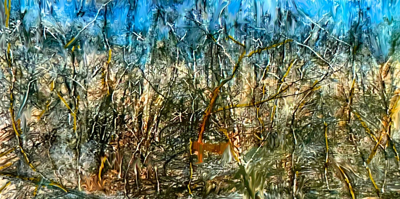 9bc538ac8ba1f68493ef09e012c54d8f692336fe