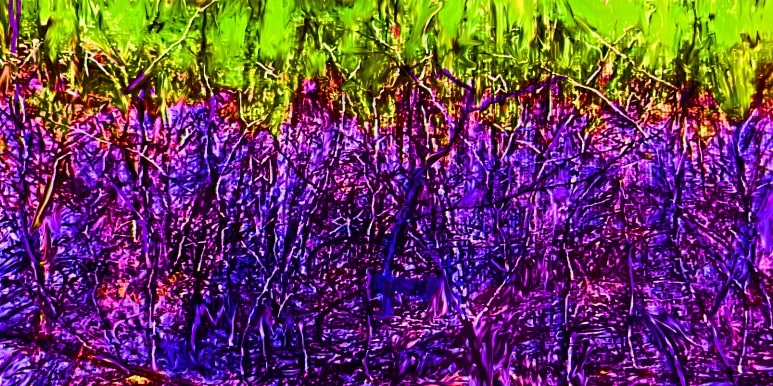 %EB%8C%80%EB%82%98%EB%AC%B4%EC%88%B2%EC%95%9Ef.jpg?type=w773