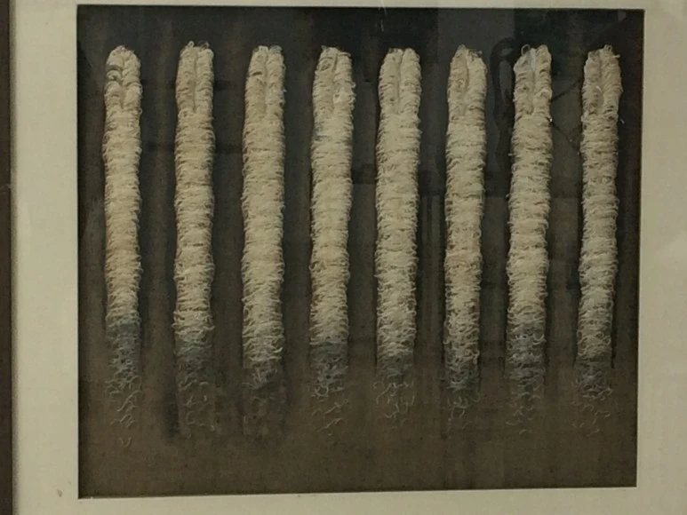 IMG_5651.JPG?type=w773