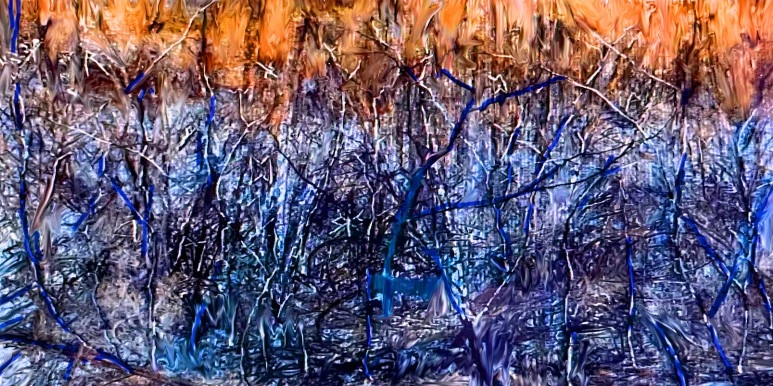 %EB%8C%80%EB%82%98%EB%AC%B4%EC%88%B2%EC%95%9Ec.jpg?type=w773