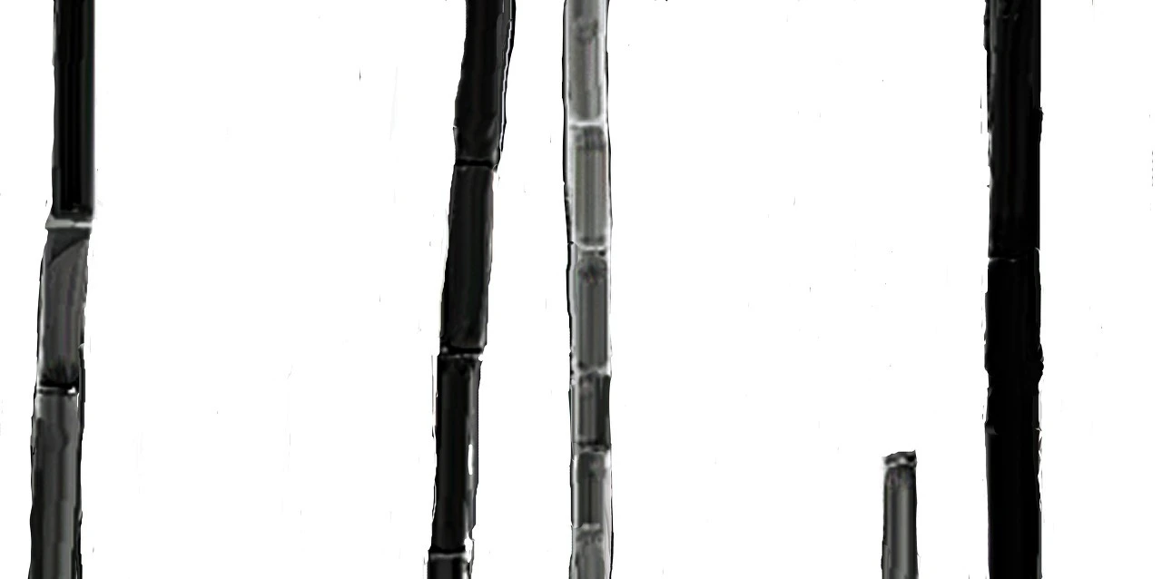 323628ff90f2720394b47c813b7d12ec6fa4c1de