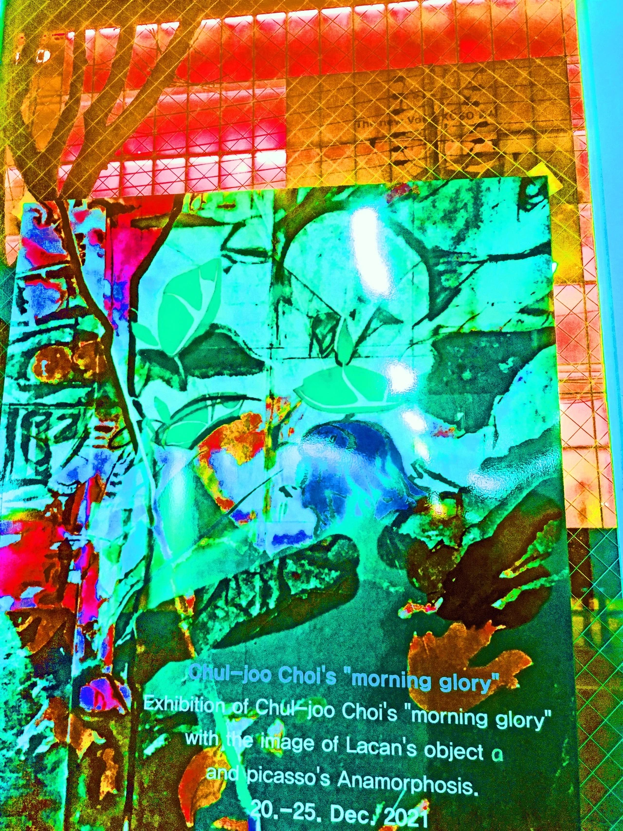 cb6a528a9118081a5fc37bfa8531da969a30f094