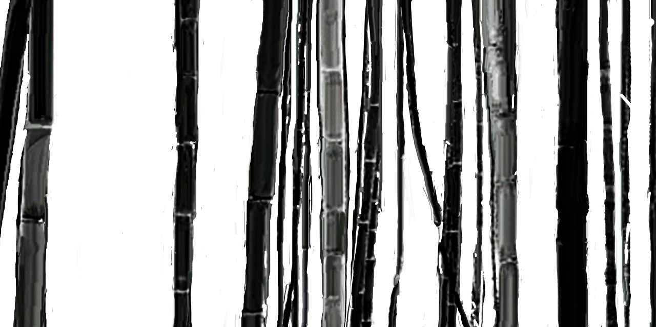 9db3e46f5c79de6e0606ae2ded44e6e8ec0ced53