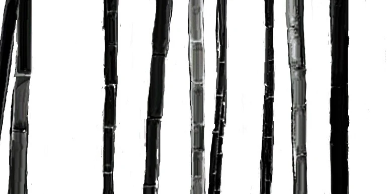 1df815b0459a5a564b44b55a255192a62e754f5d