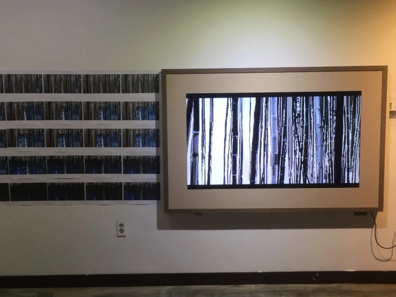 IMG_3133.JPG?type=w773