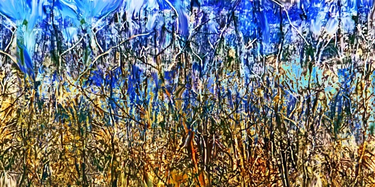 %EB%8C%80%EB%82%98%EB%AC%B4%EC%88%B2%EC%95%9E0.jpg?type=w773