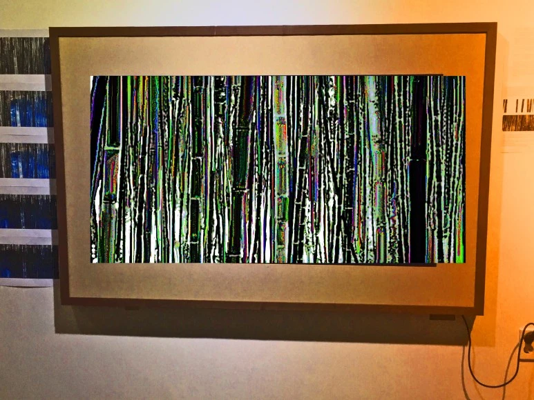 IMG_3427-1.jpg?type=w773