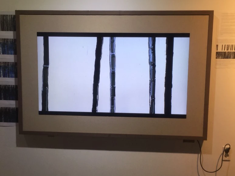 IMG_3423.JPG?type=w773