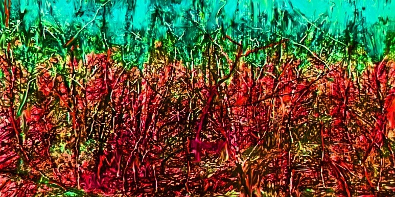 63178f710e3e4f74e089f2ae6654f844479bd03d