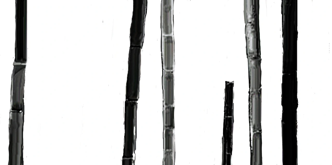 e619dd4e2ce1e484384d36751377e8b9260296de