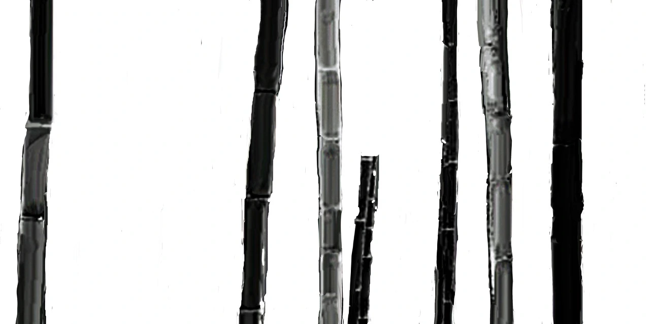 b24b0ee697f6cc51a8ecb4f5a90684c3a5155854