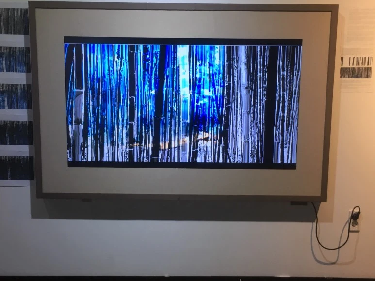 IMG_3438.JPG?type=w773