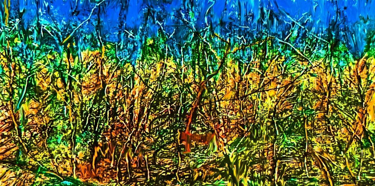 cd65d2751337d09aea25c9d54099a02a7e35a773