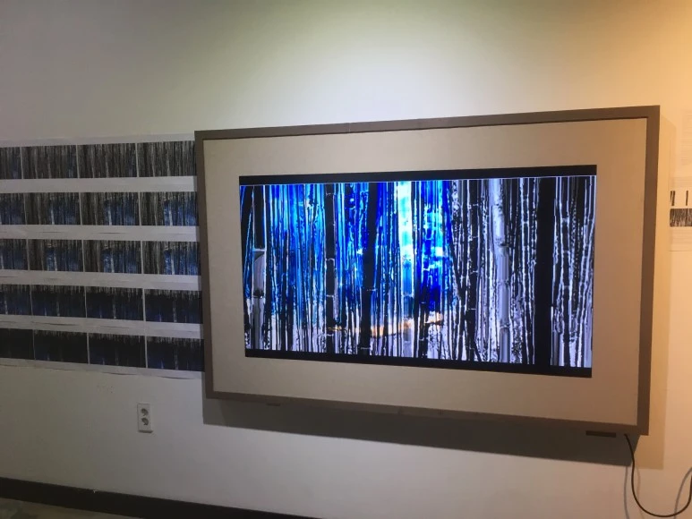 IMG_3078.JPG?type=w773