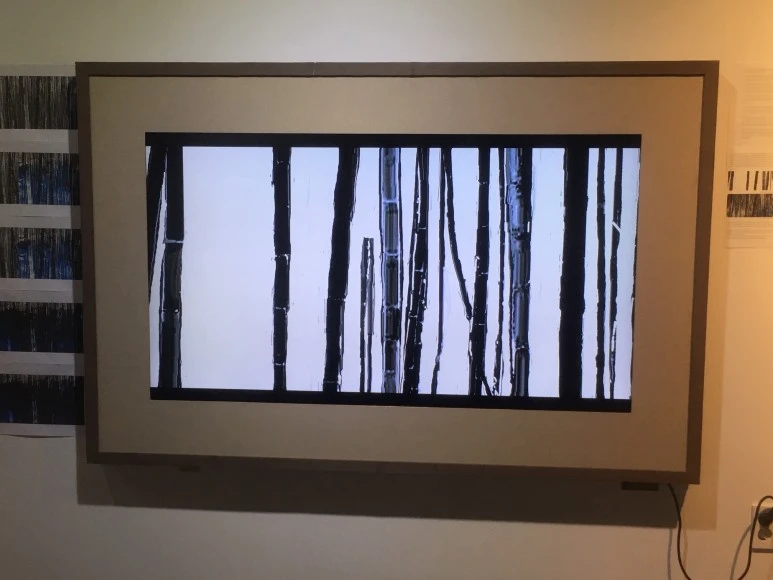 IMG_3424.JPG?type=w773