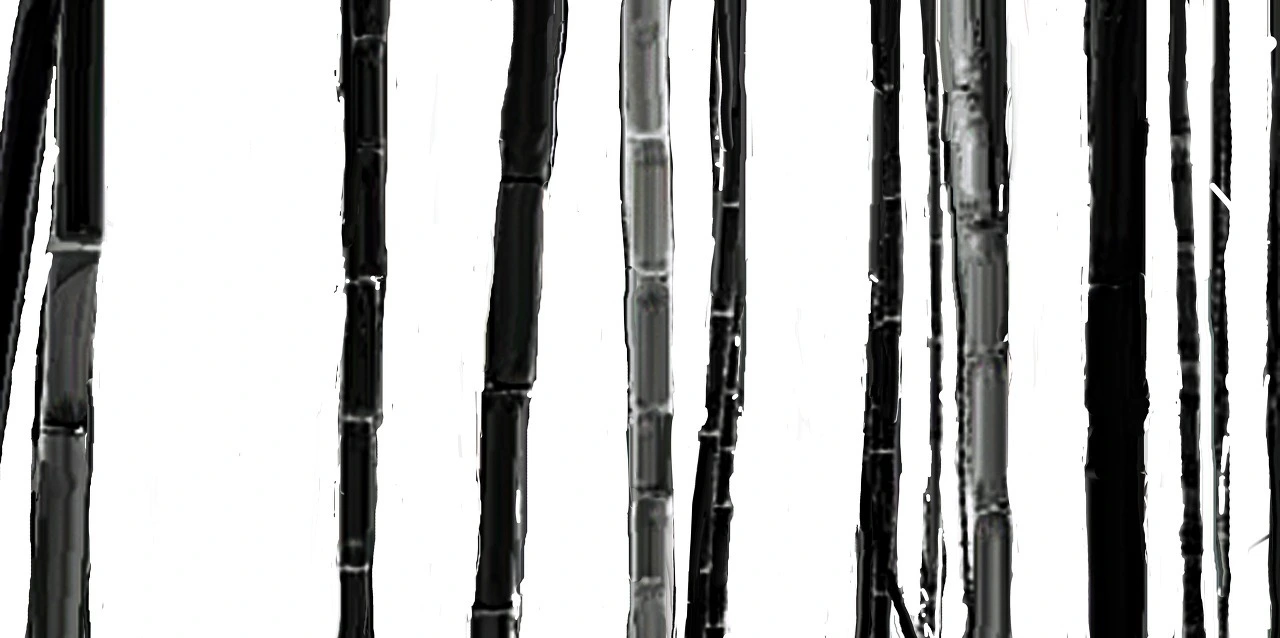 2bbe68fc2c4c9e142b8c5be4efbdf0555e10d28e