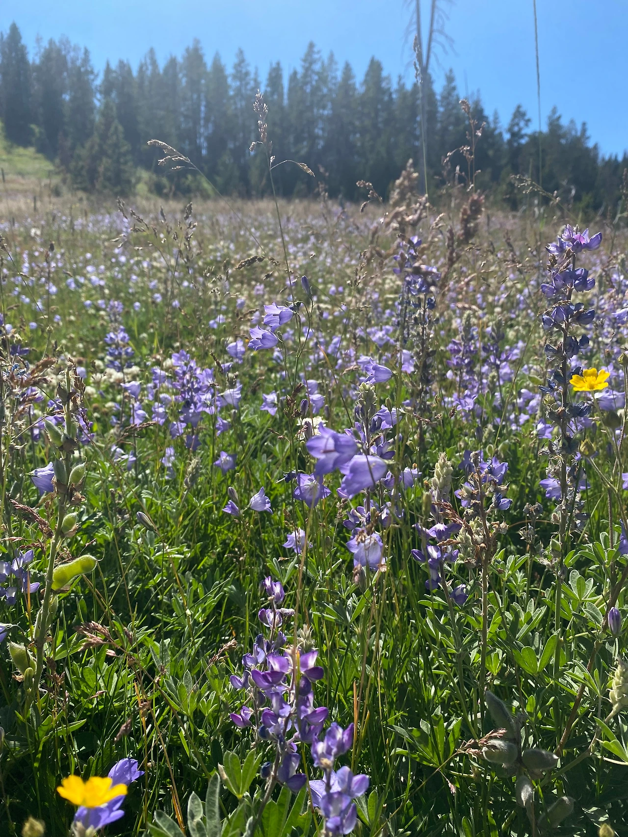 IMG_5506 - 복사본.JPG