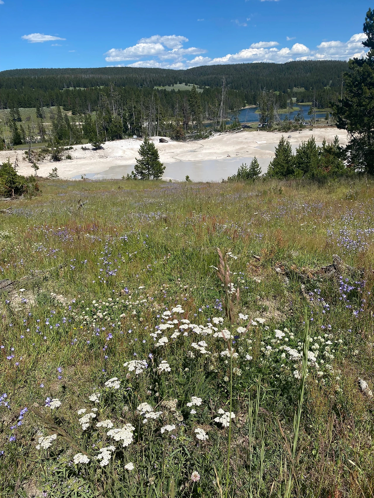 IMG_5509 - 복사본.JPG