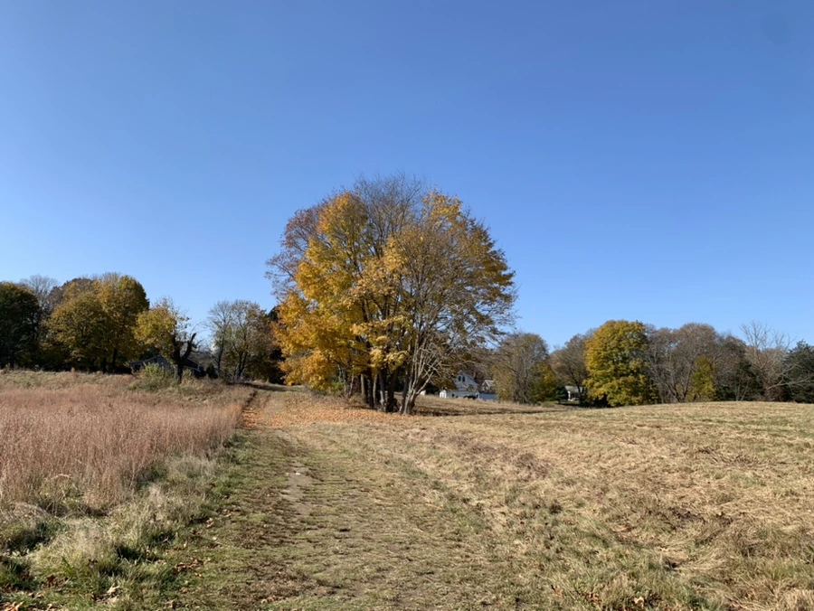 IMG_0995.jpg?type=w1