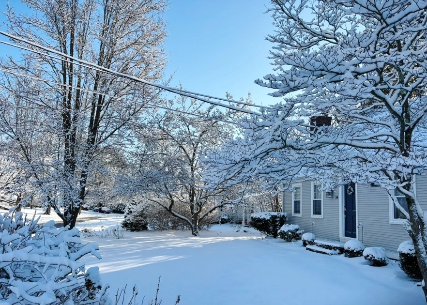 output_432519537.jpg?type=w1