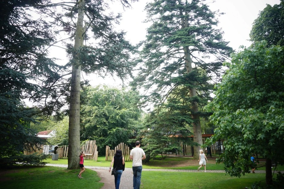 DSC03203.JPG?type=w1