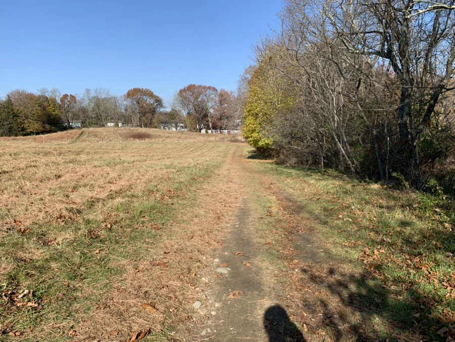 IMG_0996.jpg?type=w1