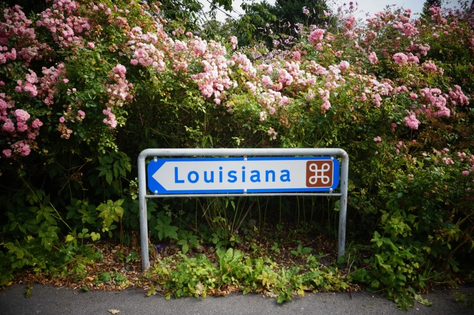 DSC03163.JPG?type=w1